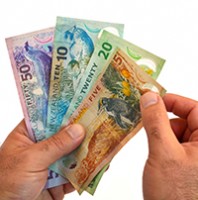 cash budget v10